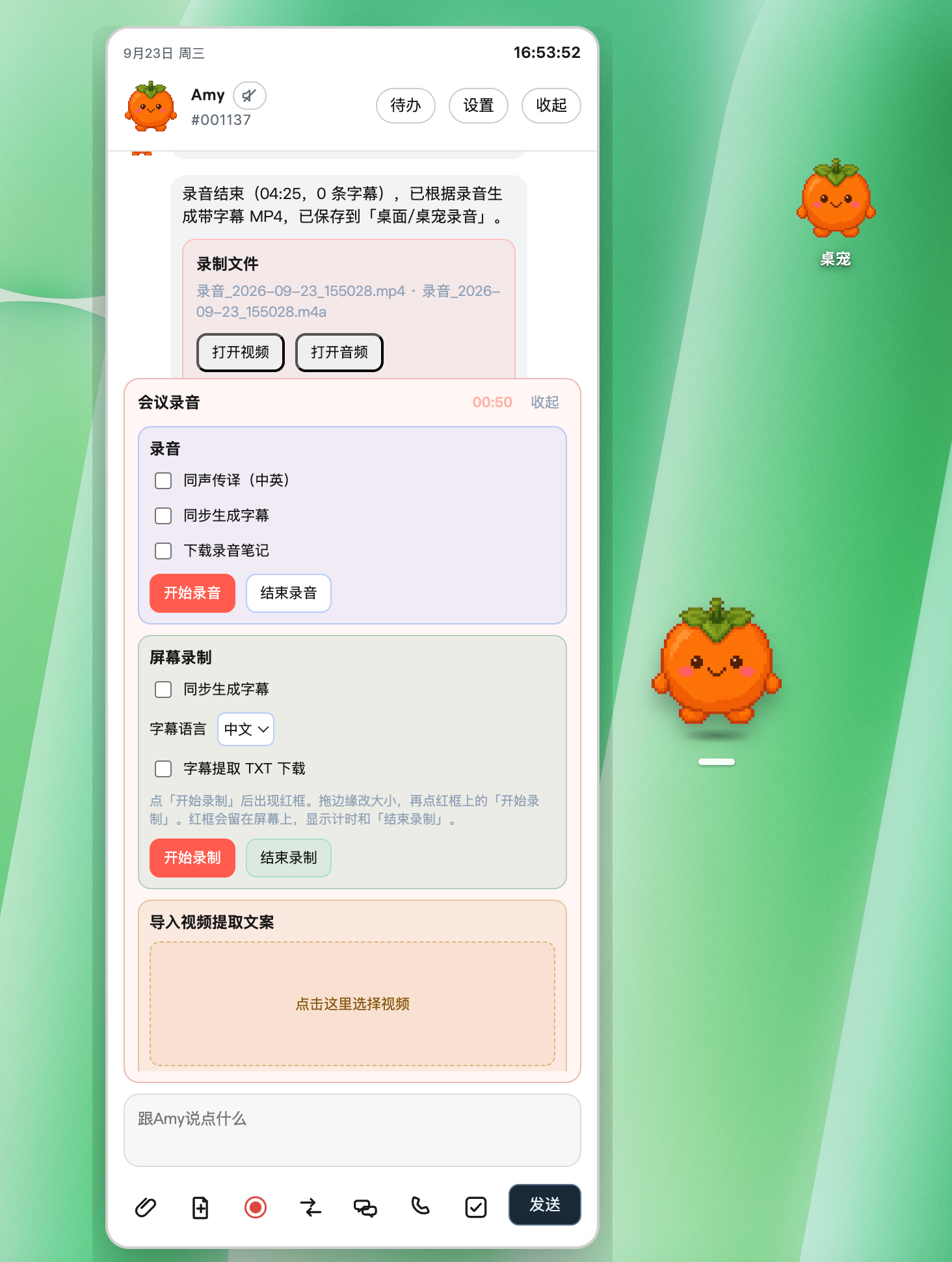用户提供的 AI宠 实际界面：会议录音、中英同声传译、字幕、屏幕录制与导入视频提取文案